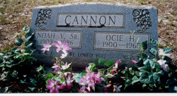 Noah Vardaman Cannon Sr.