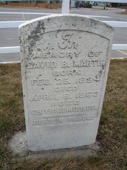 David B Martin 