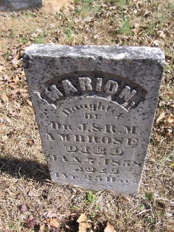 Marion Ambrose 