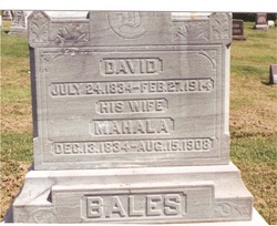 David Bales 