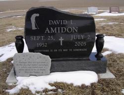 David Lester Amidon 