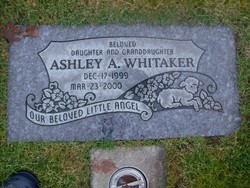 Ashley A Whitaker 