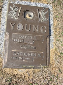 David E Young 