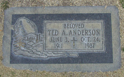 Ted A. Anderson 