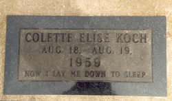 Colette Elise Koch 
