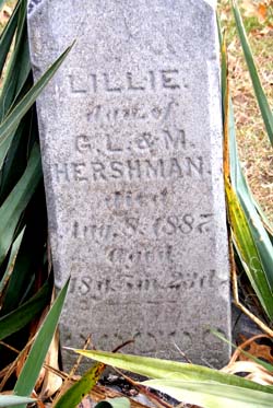 Lillie A. Hershman 