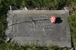 Ann Aitken 