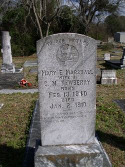 Mary Elizabeth <I>Marshall</I> Newberry 