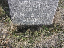 Henry Louis Adams 