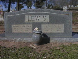 Andrew Jackson Lewis 