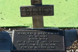 Harold Sequoia “Blue” Bruchman 