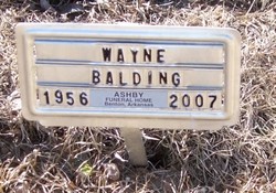 Wayne Edward Balding 