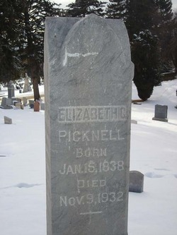 Elizabeth Ann <I>Crompton</I> Picknell 