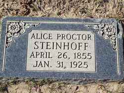Alice Ellen <I>Proctor</I> Steinhoff 