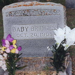 Baby Bridges 