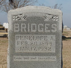 Penelope <I>Ake</I> Bridges 