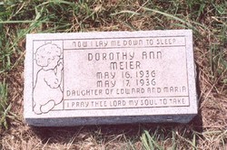 Dorothy Ann Meier 