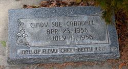 Cindy Sue Crandall 