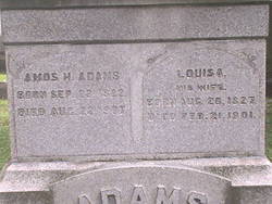 Louisa <I>Hoyt</I> Adams 