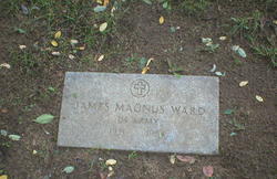 James Magnus Ward 
