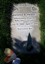 Lawrence B Nelson II