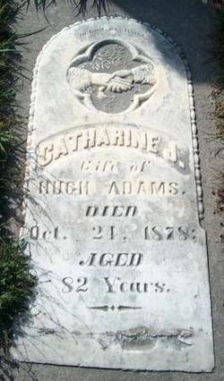 Catherine J Adams 