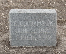 Edd Lee Adams Jr.