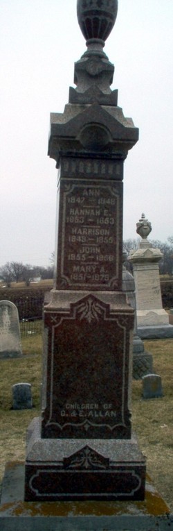 Hannah E. Allan 