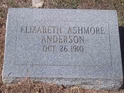 Nannie Elizabeth <I>Ashmore</I> Anderson 
