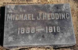 Michael J Redding 