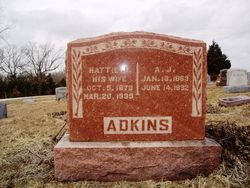 Andrew Jackson Adkins Jr.