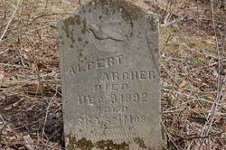 Albert Archer 