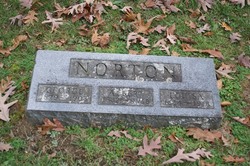 Albert Norton 