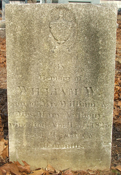 William W. Anthony 