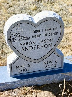 Aaron Jason Anderson 