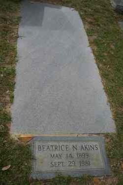 Beatrice Ann <I>Nessmith</I> Akins 