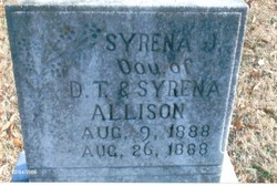 Syrena J. Allison 