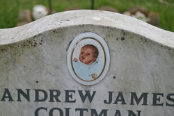 Andrew James Coltman 