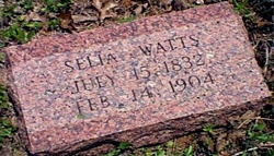 Selia <I>Stout</I> Watts 