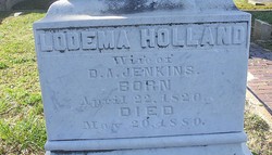 Lodema <I>Holland</I> Jenkins 