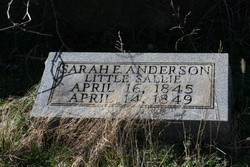 Sarah E. Anderson 