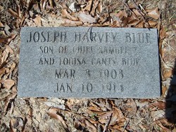 Joseph Harvey Blue 