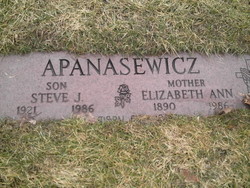 Steve J Apanasewicz 