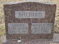 Albert Hayes Shepard 