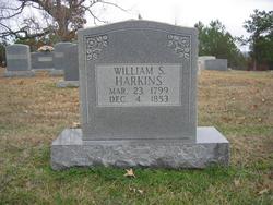 William Stewart Harkins 