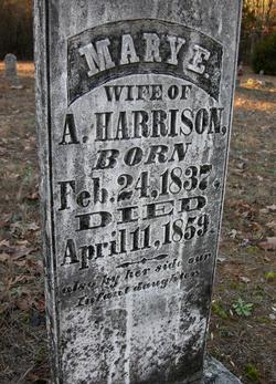 Mary E Harrison 