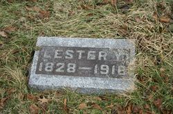 Lester Y. Adams 