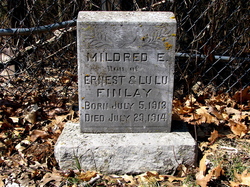 Mildred E. Finlay 