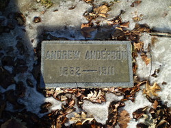 Andrew H Anderson 