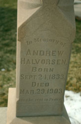Andrew Halvorsen 